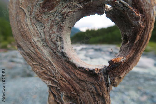 Looking through the wooden round hole of the tree bark