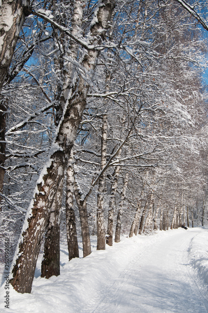Winter landscape with a park Winter landscape with a park