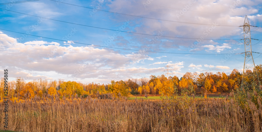 Fototapeta premium Jesień