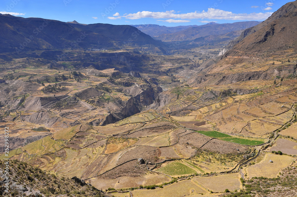 Peru, Colca Valley, Terrace Cultivation.