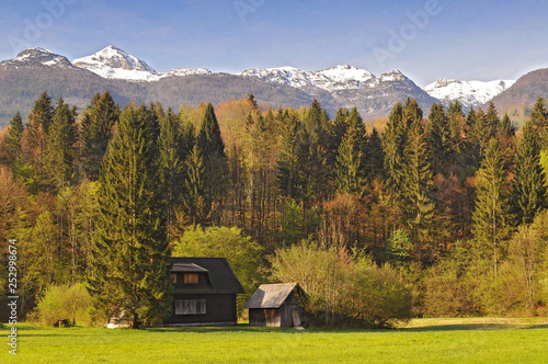 Slovenia, Stara Fuzina, Triglav National Park, Alpine area of Slovenia, Triglav National Park.