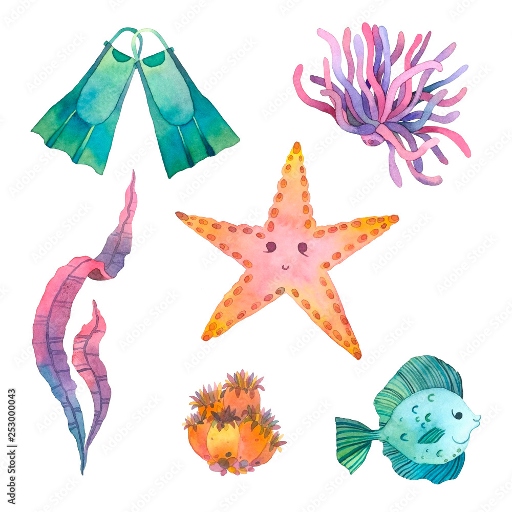 underwater life.underwater life. Starfish, corals, algae, fish, flippers for swimming.