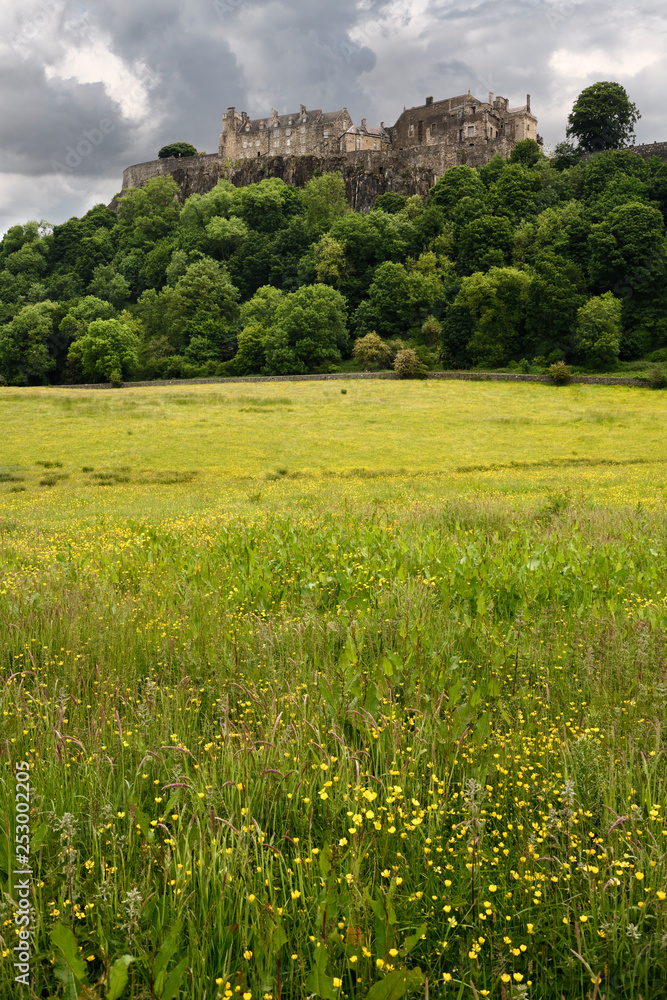 Stirling Castle high on Castle Hill with clouds and yellow field of buttercups in Stirling Scotland UK