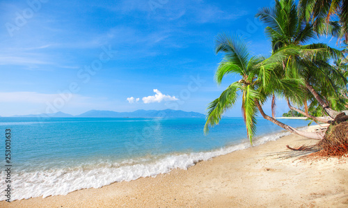 beach and coconut plm tree © Alexander Ozerov