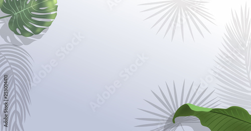 Realistic green palm leaf branches on white background.