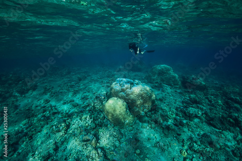 Freediver man explore sea life in ocean