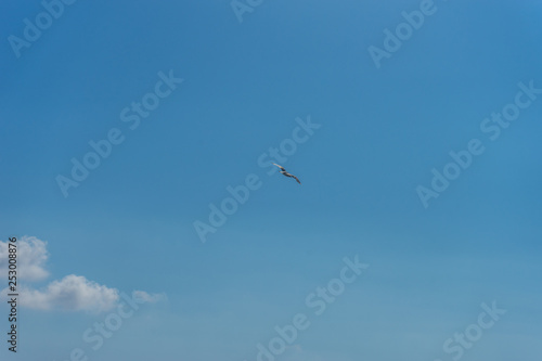 Italy, Cinque Terre, Manarola, a kite flying in the sky