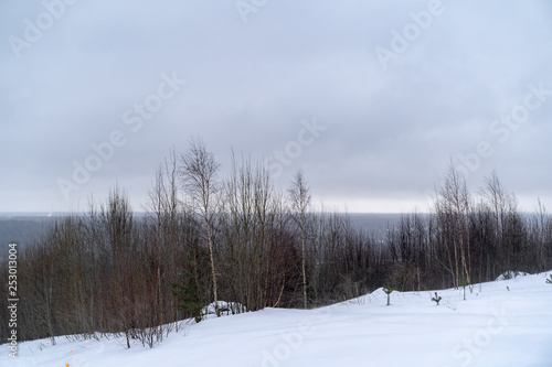 Snowy landscape with forest and clouds