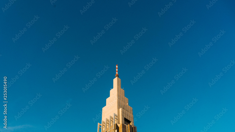 Fototapeta premium NTT 도코모 타워