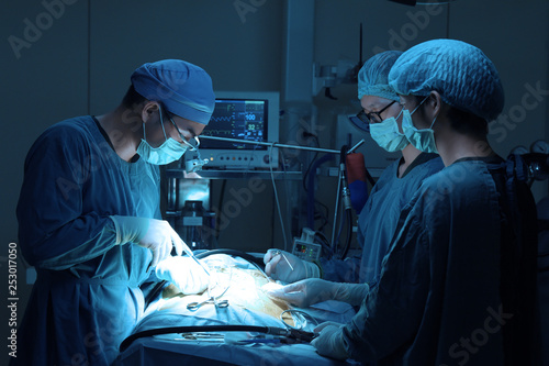 group of veterinarian surgery in operation room take with art lighting and blue filter photo