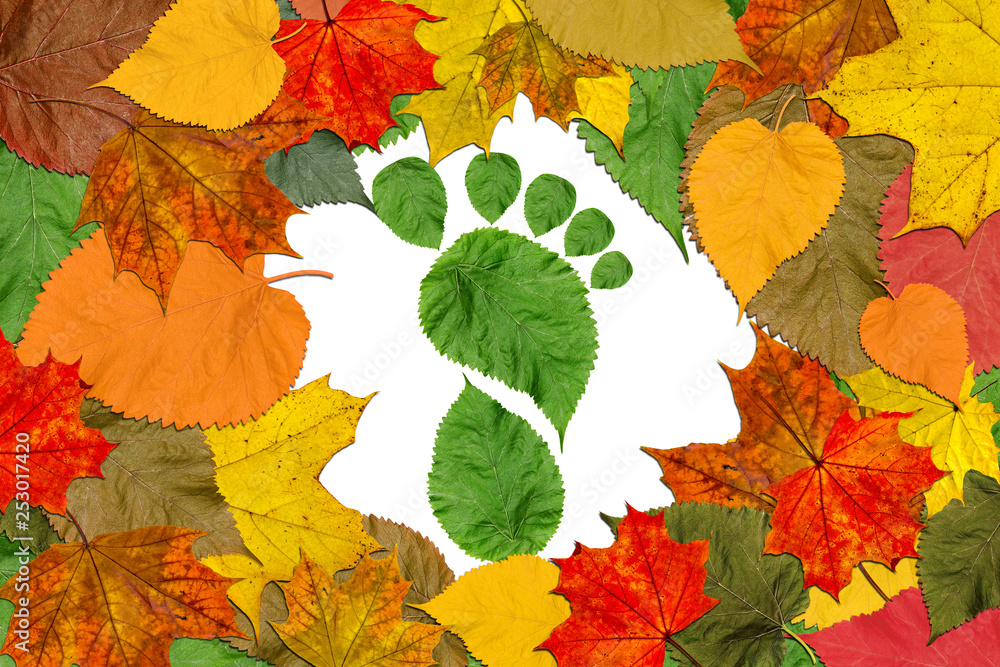 Autumn marvelous colorful leaves frame with footprint of a human bare foot made of live fall leaves. Nature, human,ecology and environmental protection