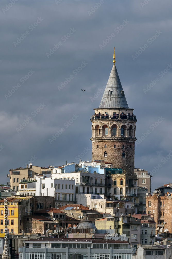 View of the galata tower