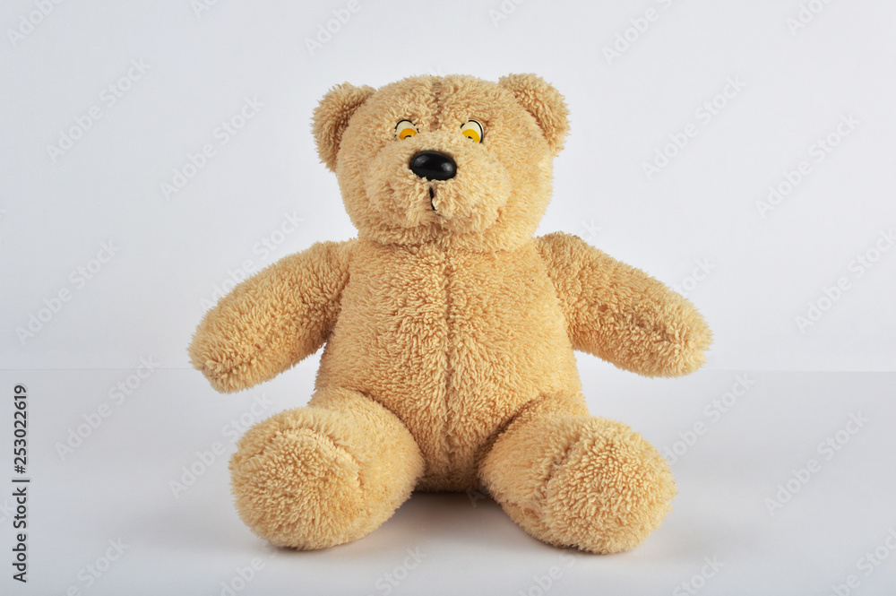 Obraz premium Teddy bear