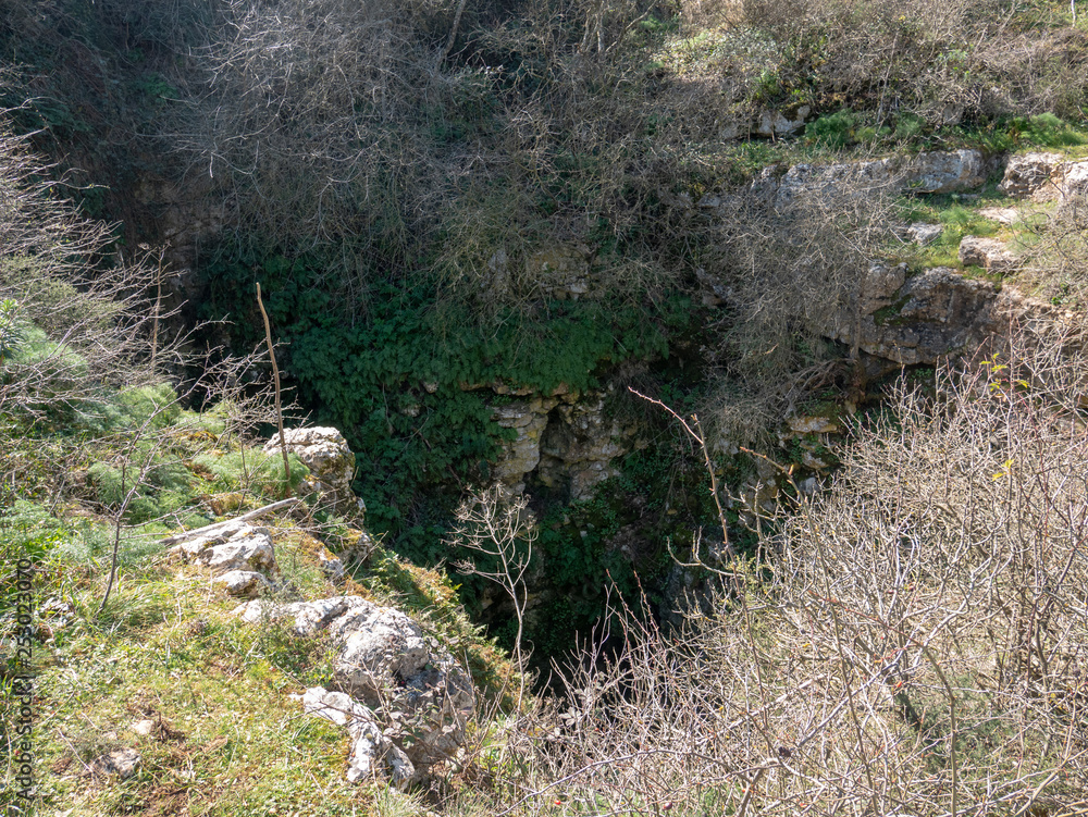 sinkhole Cavone of the wood of Acquatetta, Spinazzola, Murgia, Apulia, Italy sinkhole Cavone of the wood of Acquatetta, Spinazzola, Murgia, Apulia, Italy