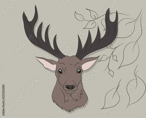 portrait of a deer on a colored background