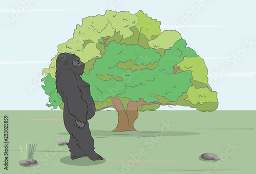 vector illustration of a gorilla on the wild