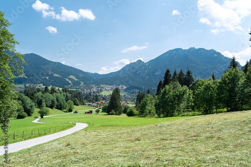 View of the mowed grass and the road going into the distance against the backdrop of mountains.
