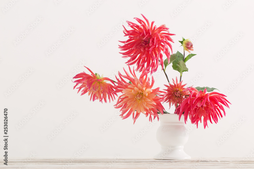 dahlia flowers in white vase on wooden table dahlia flowers in white vase on wooden table