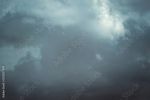 Flock of birds in stunning sky with big dark clouds