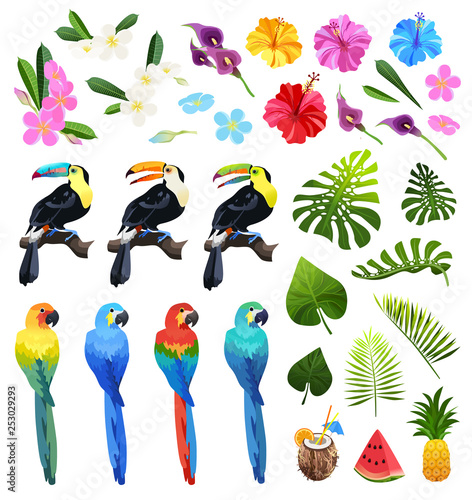 tropical objects set