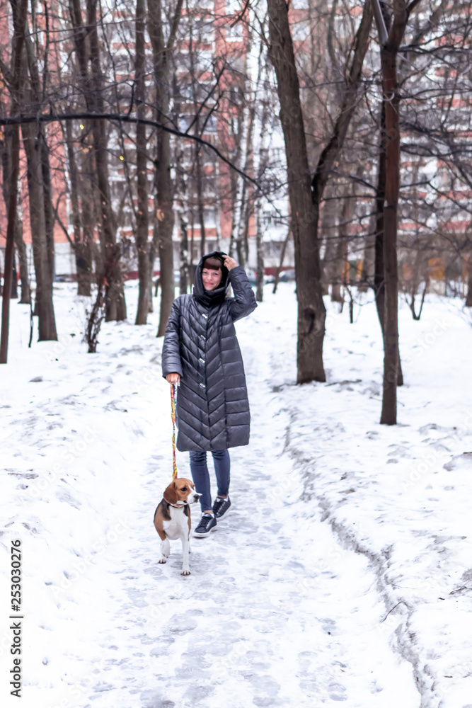 Young woman walking in the park with her beagle dog in winter time.
