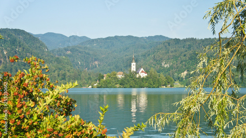 Sunny view over Lake Bled  Julian Alps and church on the island  sunny day  Bled  Slovenia