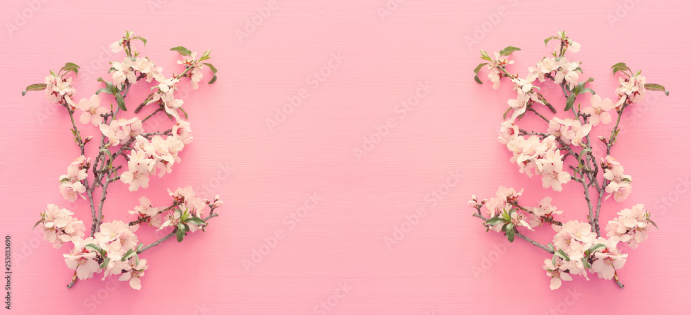 photo of spring white cherry blossom tree on pastel pink wooden background. View from above, flat lay