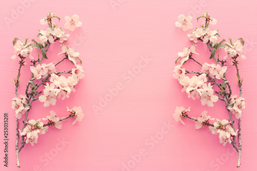 Wallpaper Mural photo of spring white cherry blossom tree on pastel pink wooden background. View from above, flat lay Torontodigital.ca