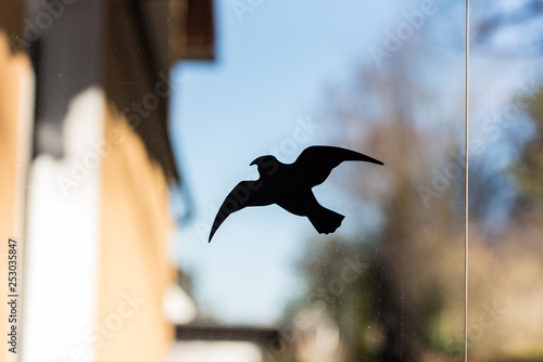 sticker of a bird against bird strikes at a window