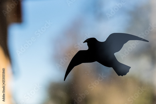 sticker of a bird against bird strikes at a window