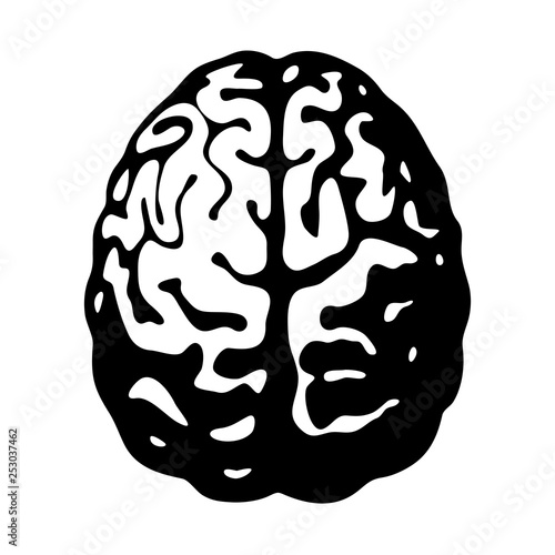 Black and white human brain in top view