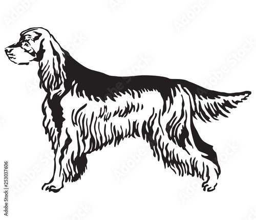 Decorative portrait of Dog Gordon Setter vector illustration