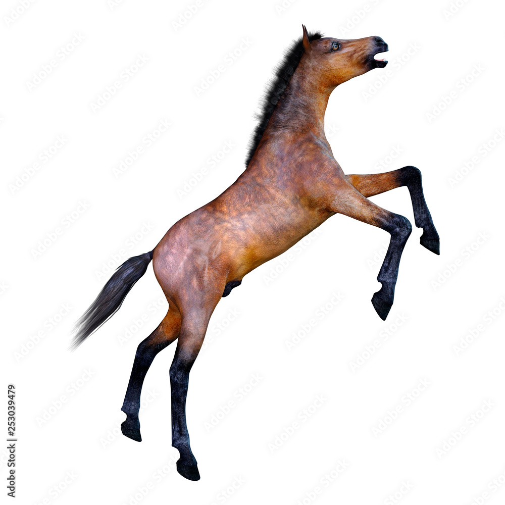 Fototapeta premium 3D Rendering Horse Foal on White