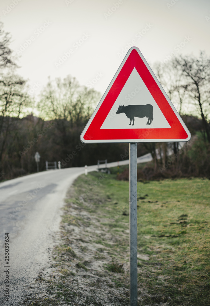 Image - Cow traffic european sign (red triangle) with curved road, green meadow and field on background on sunset. Beware of the cow. A warning sign with cattle on european road symbol. Image - Cow traffic european sign (red triangle) with curved road, green meadow and field on background on sunset. Beware of the cow. A warning sign with cattle on european road symbol.