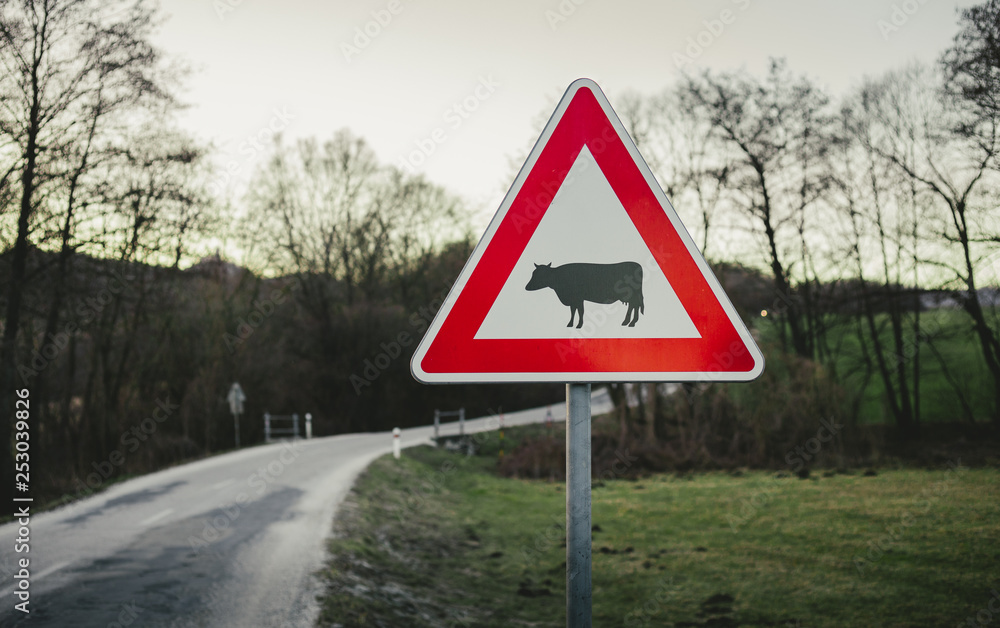 Image - Cow traffic european sign (red triangle) with curved road, green meadow and field on background on sunset. Beware of the cow. A warning sign with cattle on european road symbol. Image - Cow traffic european sign (red triangle) with curved road, green meadow and field on background on sunset. Beware of the cow. A warning sign with cattle on european road symbol.