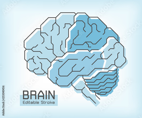 Brain anatomy and outline stroke . Frontal Parietal Temporal Occipital lobe Cerebellum and Brainstem . Medical concept . Editable stroke .