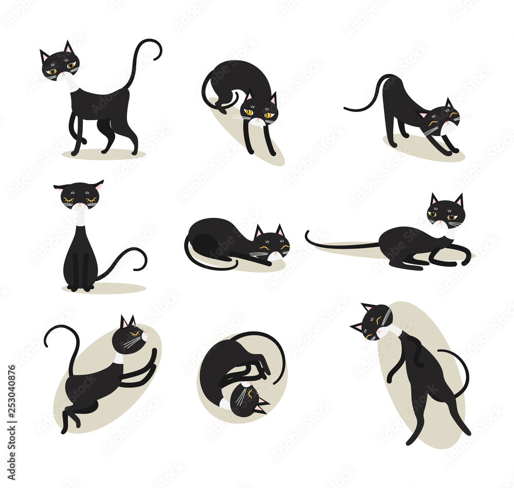 set black cat, auspicious cats of Thailand