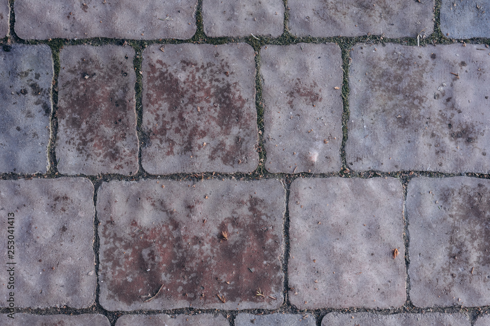 Obraz premium texture tile with moss