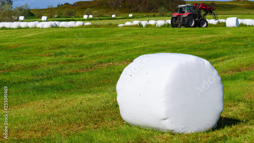 Bale of hay wrapped in plastic foil, Norway