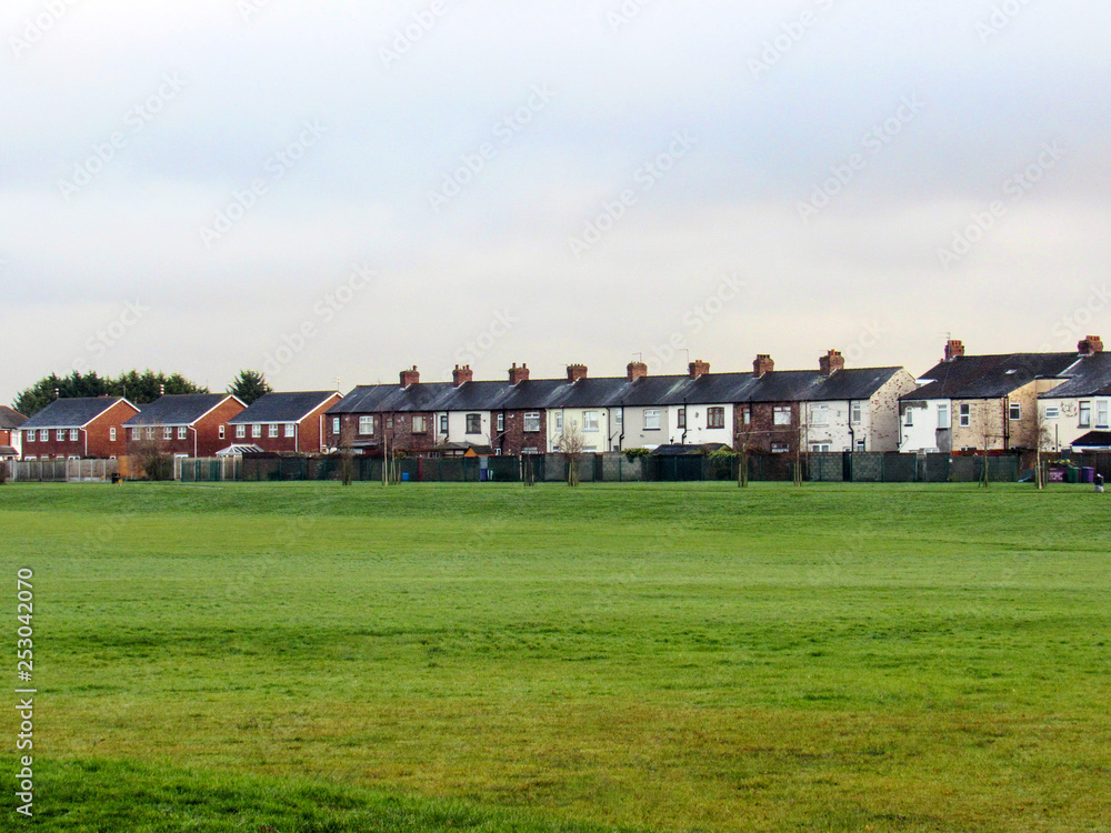 Fototapeta premium houses on a green field