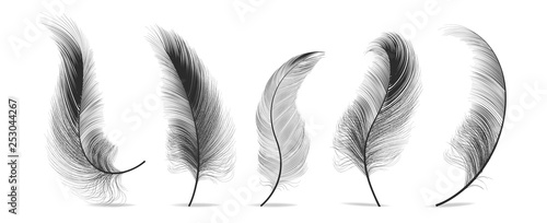Black Feathers Set Vector. Feather Bird, Soft Plume Design. Isolated Illustration