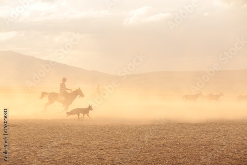 man on horseback ( life style) © murat