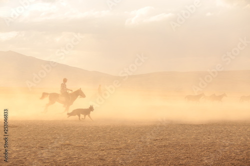 man on horseback   life style 