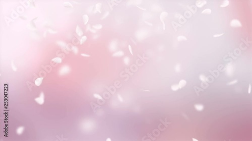 Pink petals of sakura falling on romantic elegant abstract background. Looped 4K motion spring blossom graphic.