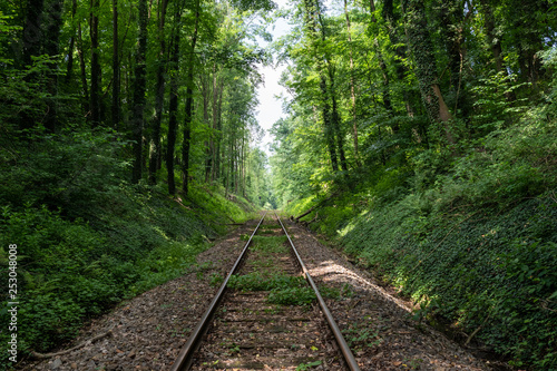 The railroad in a forest ,Germany