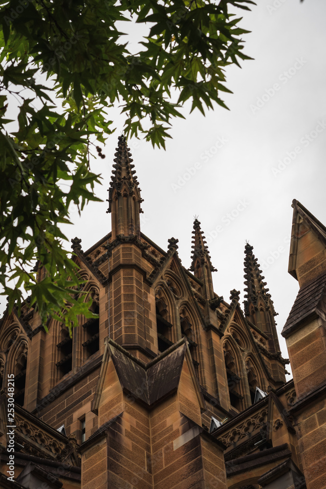 Fototapeta premium gotische Kirche in Sydney