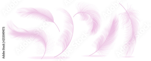 Pink Feathers Set Vector. Different Falling Fluffy Twirled Feathers. Healthy Sleep, Dreams. Isolated Illustration