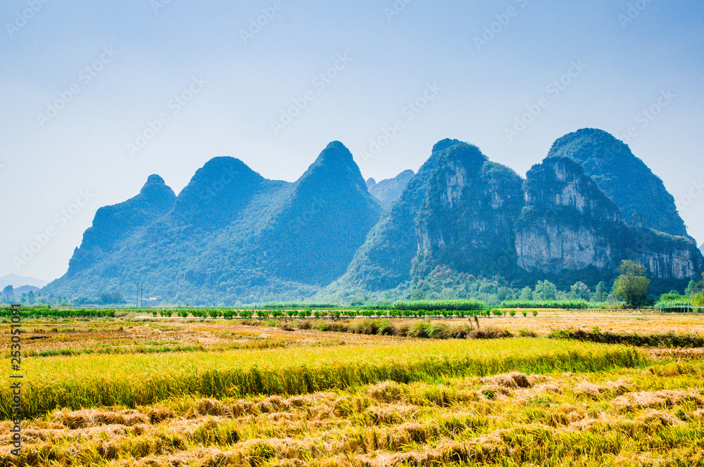Fototapeta premium Rice fields and mountain scenery in fall 