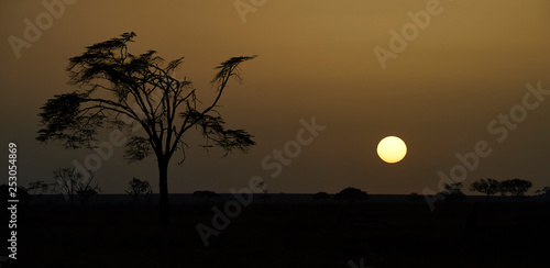 Sunrise in the Serengeti