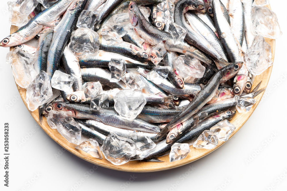fresh anchovies in the tray with ice